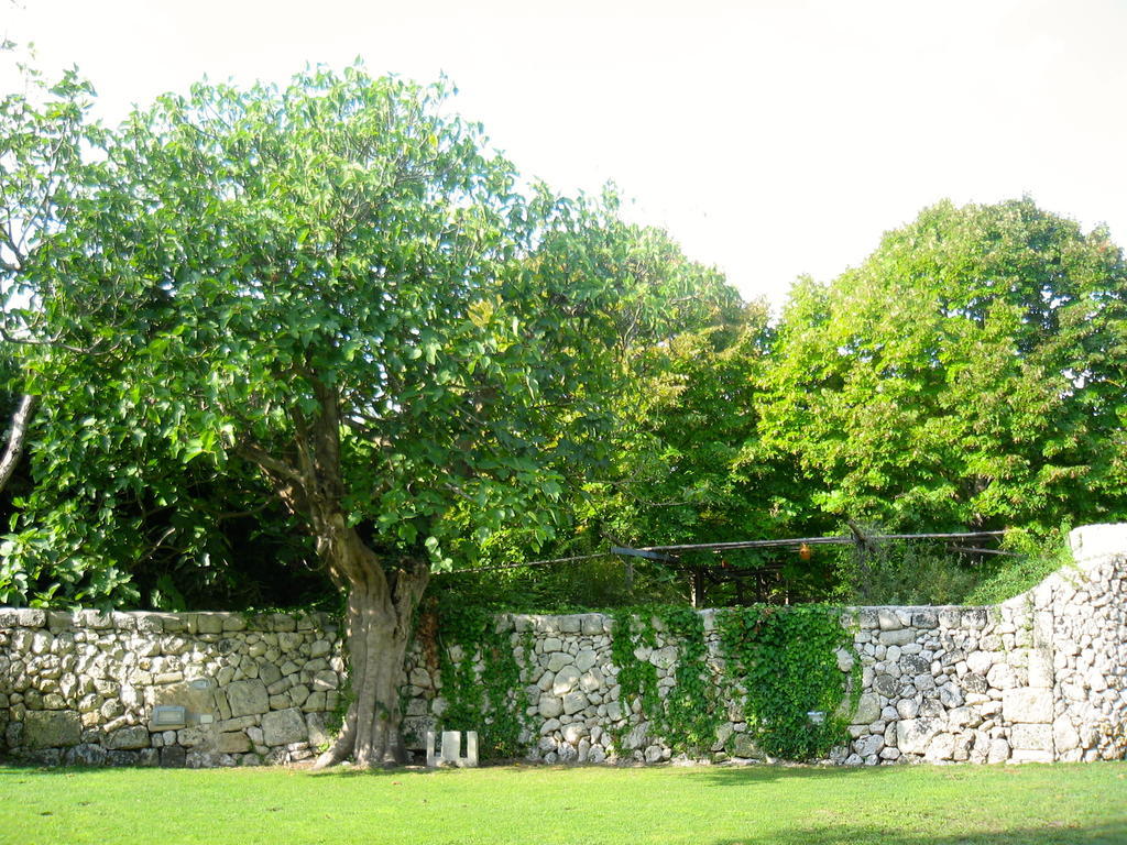 Tenuta Sant'Andrea Giuggianello Eksteriør billede